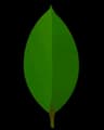 MongoDB